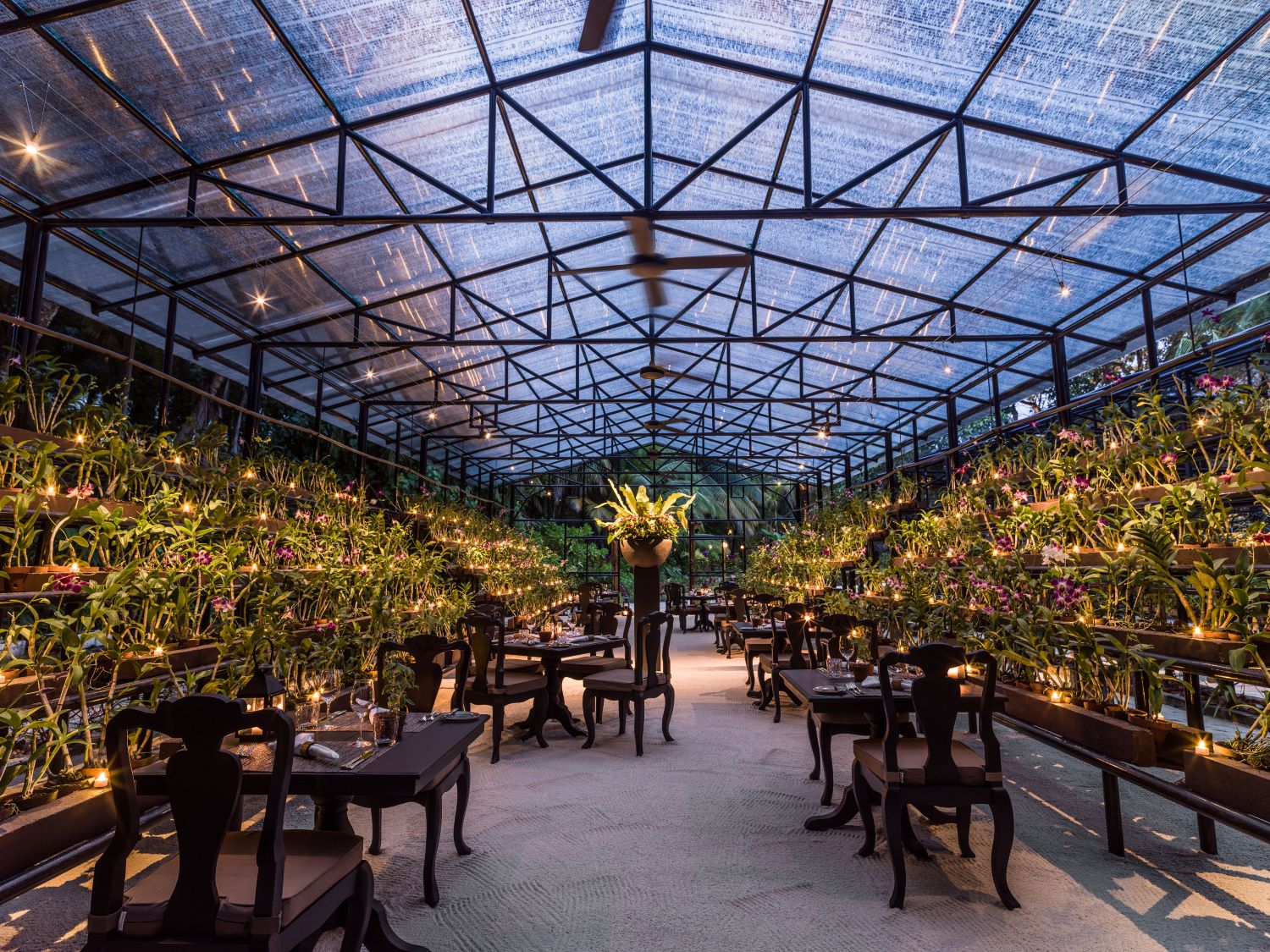 One & Only Reethi Rah