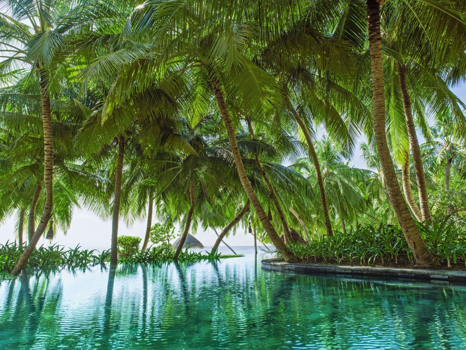 One & Only Reethi Rah