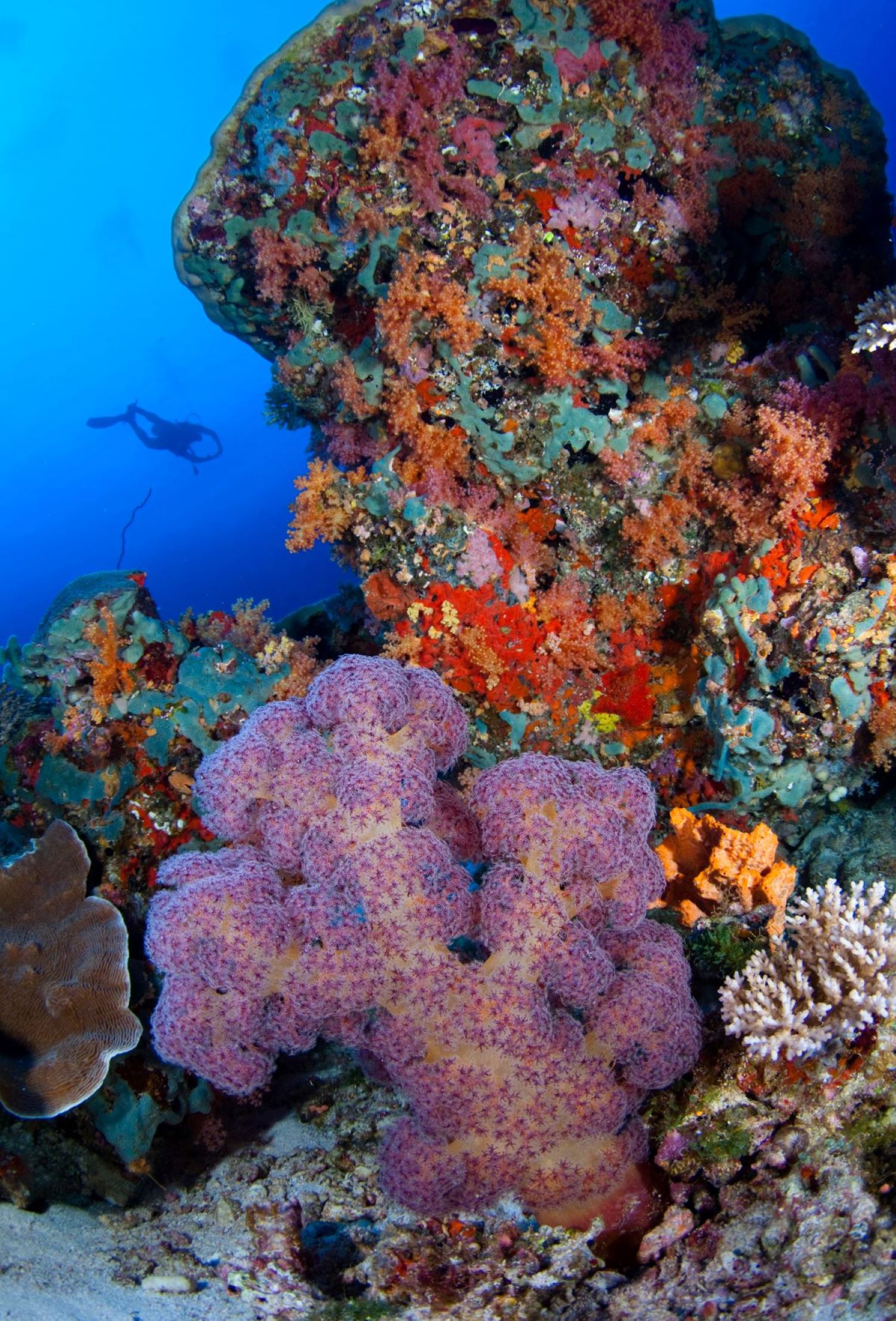 Park Hyatt Maldives Hadahaa