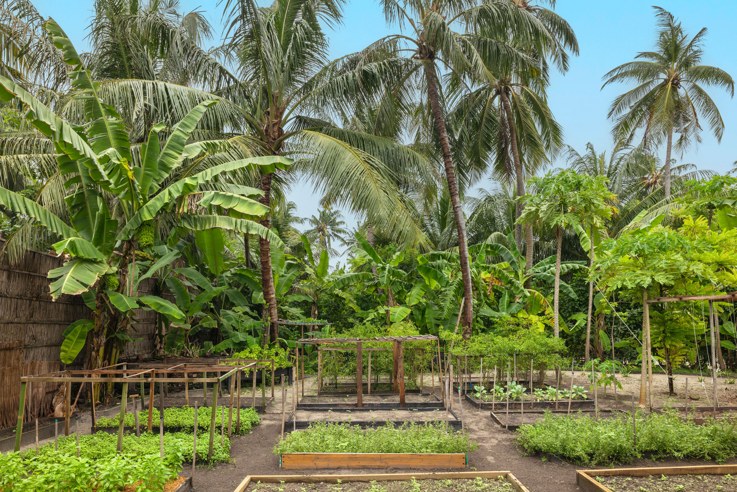 The_Halcyon_Private_Isles_Garden